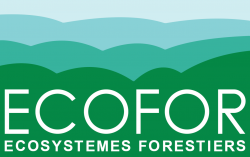 Logo_ecofor