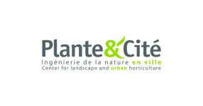 Plante_cite_cadre